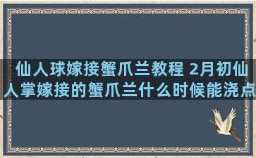 仙人球嫁接蟹爪兰教程 2月初仙人掌嫁接的蟹爪兰什么时候能浇点水